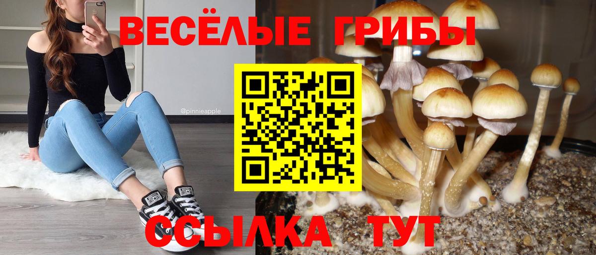 Домодедово  Псилоцибиновые грибы MAGIC MUSHROOMS  Вход с VPN 